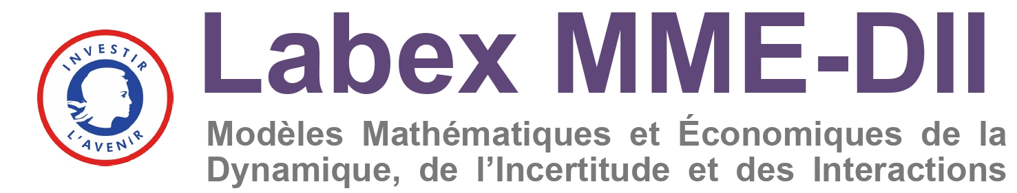 Labex MME-DII